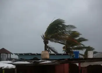 Furacão Melissa: O que se sabe sobre os próximos locais que serão atingidos 3 Palmeiras agitadas pelo vento ante da chegada do furacão Melissa em Hellshire, na Jamaica • REUTERS/Octavio Jones