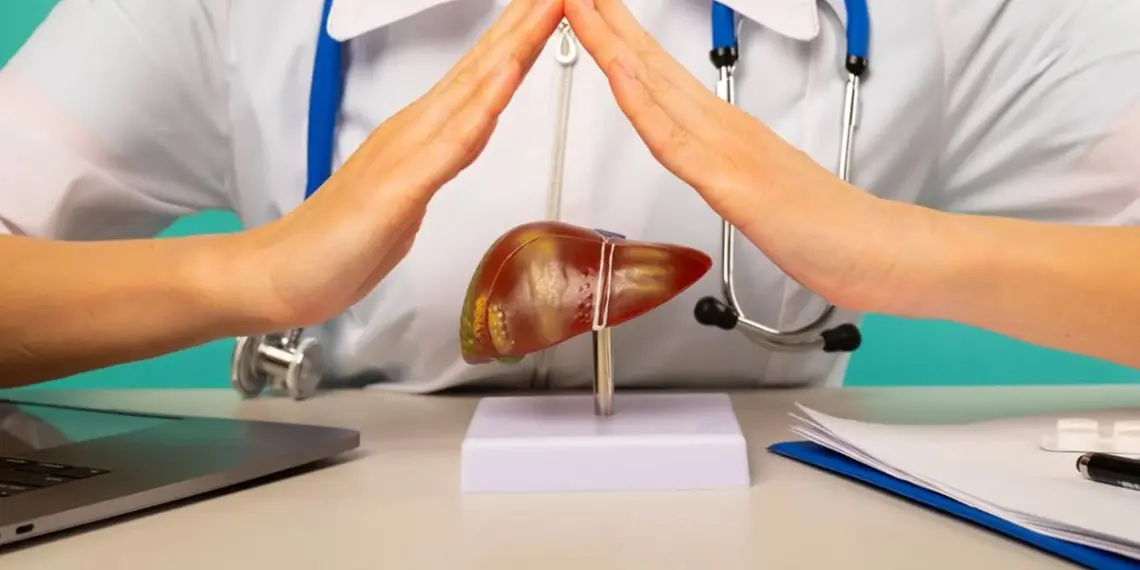 Gordura no fígado: hábitos que ajudam a reverter a esteatose hepática 1 Foto: Reprodução