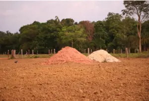 Do sonho à realidade: pecuária sustentável no Acre dobra a renda de produtores e preserva a floresta. VÍDEO 4 Do sonho à realidade: pecuária sustentável no Acre dobra a renda de produtores e preserva a floresta. VÍDEO