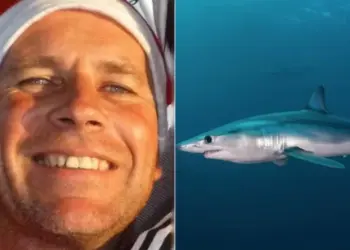 Família espera há oito meses encontrar o corpo de pescador puxado para o mar por tubarão 2 Família espera há oito meses encontrar o corpo de pescador puxado para o mar por tubarão