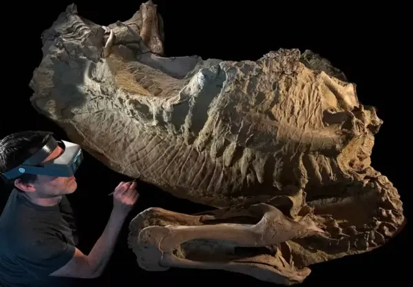 Duas múmias de dinossauro de 66 milhões de anos são identificadas