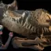 Duas múmias de dinossauro de 66 milhões de anos são identificadas 9 O que são e o que revelam as 'múmias' de dinossauro descobertas nos EUA — Foto: Laboratório de Fósseis da Universidade de Chicago