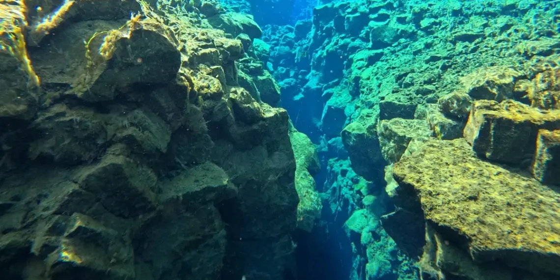 Cientistas detectam placas tectônicas se partindo no Oceano Pacífico 1 Foto: Edi Gilodi/Getty Images
