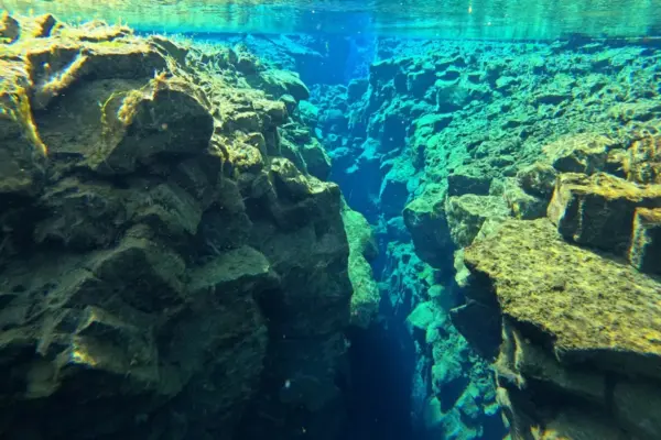Cientistas detectam placas tectônicas se partindo no Oceano Pacífico 1 Cientistas detectam placas tectônicas se partindo no Oceano Pacífico