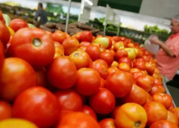 Tomate, frango e arroz lideraram as reduções de preço em setembro - Foto: Agência Diário