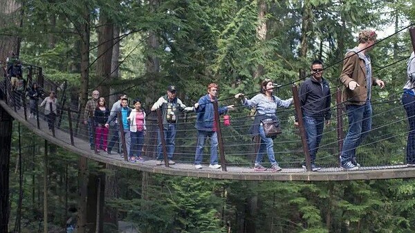 'A ponte do amor': o estranho experimento que revelou os elos entre medo e atração