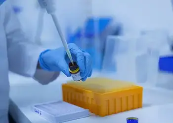 Foto: : fernando zhiminaicela/Pixabay