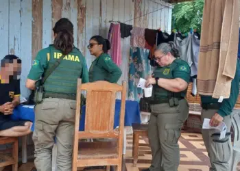 Ibama aplica R$ 430 mil em multas durante operação contra caça e tráfico de animais no Acre 2 Foto: Arquivo/Ibama