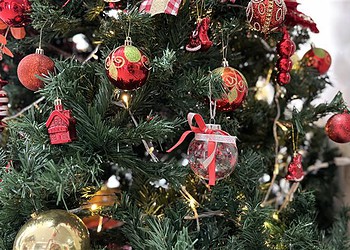 Decoração natalina segura: Energisa faz alerta contra acidentes