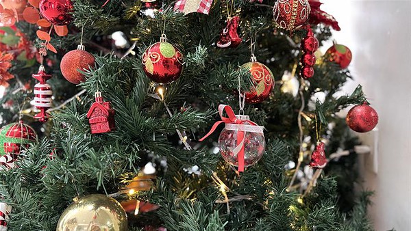 Decoração natalina segura: Energisa faz alerta contra acidentes