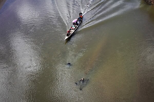 Rio Acre sobe mais de 5 metros em Assis Brasil e avanço das águas deve chegar a Rio Branco esta semana