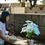 FOTOS: Famílias lotam cemitérios de Rio Branco no Dia de Finados