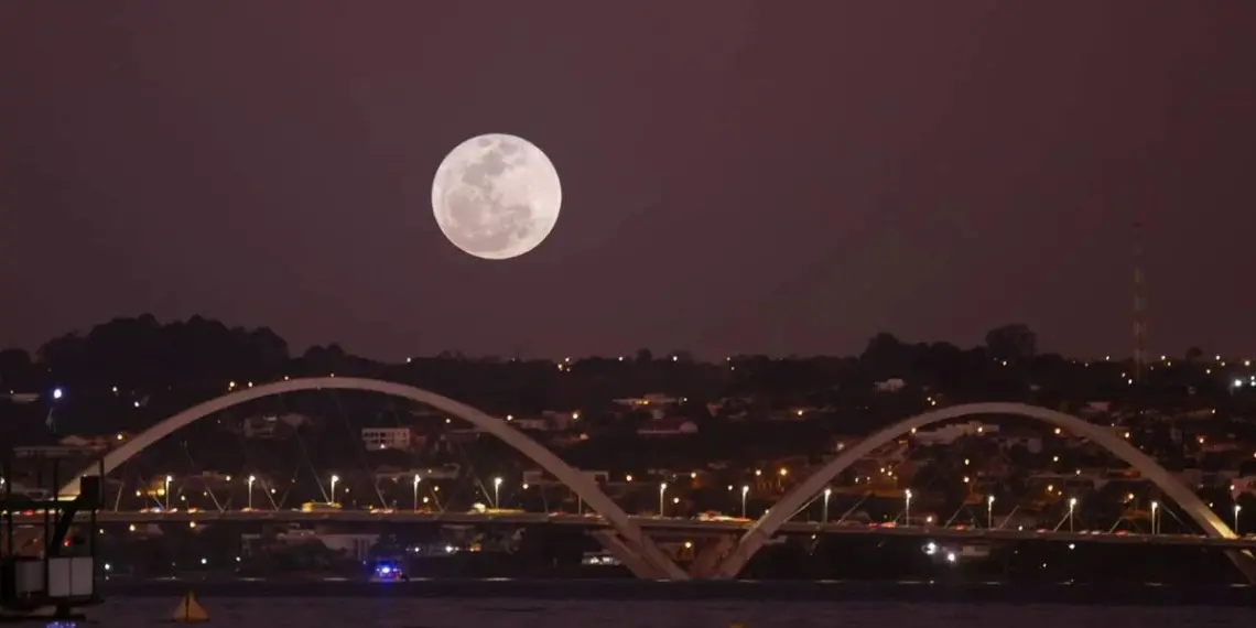 Igo Estrela/Metrópoles (@igoestrela)