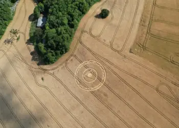 Agroglifo com formato misterioso surge no meio de plantação em cidade de SC 2 Agroglifo é registrado em Ipuaçu, Santa Catarina • Reprodução/Prefeitura de Ipuaçu