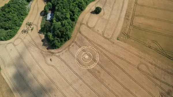 Agroglifo com formato misterioso surge no meio de plantação em cidade de SC