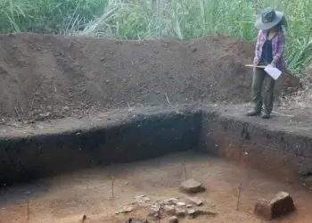 Pesquisadores mapeiam civilização perdida na Amazônia boliviana 2 C. Jaimes/ Divulgação