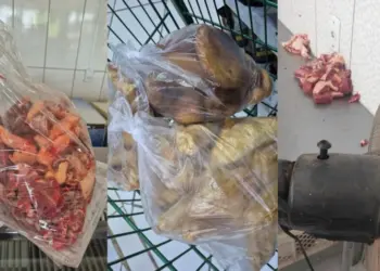 Carne vencida há três anos é apreendida em freezer de supermercado 8 MPRS apreendeu quase mil quilos de produtos impróprios para consumo • Divulgação/MPRS