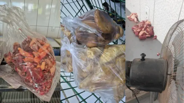 Carne vencida há três anos é apreendida em freezer de supermercado