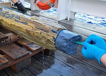 Sinais de vida em gosma vulcânica azul surpreendem cientistas; Entenda 2 Divulgação/Equipe Científica da Expedição SO292/2