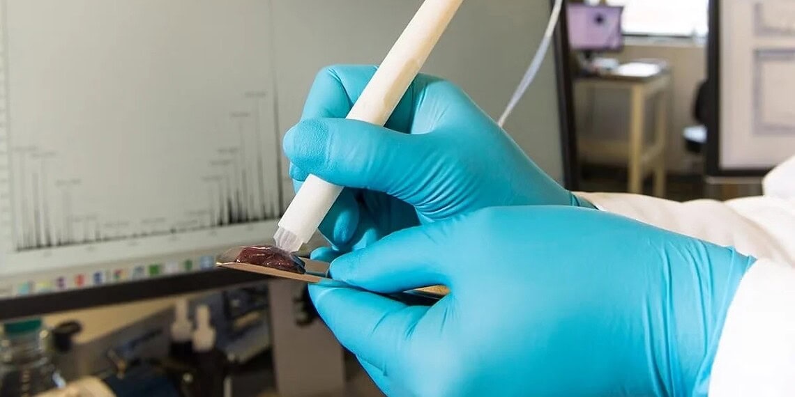 Divulgação/Universidade do Texas