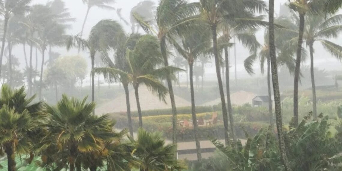 Saiba quais estados brasileiros correm maior risco de ciclones 1 Reprodução/NSC Total