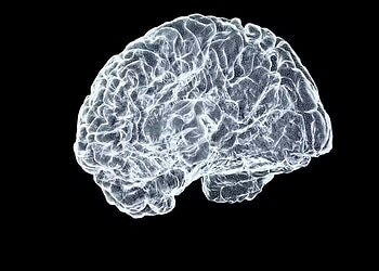 Colesterol tem papel decisivo na saúde do cérebro, apontam estudos 2 Colesterol tem papel decisivo na saúde do cérebro, apontam estudos — Foto: Shawn Day/Unsplash