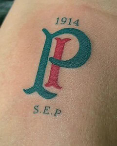 Palmeirenses do Acre viajam ao Peru para assistir final da Libertadores contra o Flamengo: 'jogo vai ser difícil' 2 Palmeirenses do Acre viajam ao Peru para assistir final da Libertadores contra o Flamengo: 'jogo vai ser difícil'