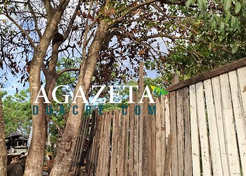 Menina de 10 anos cai de árvore de 7 metros e sofre fraturas em Rio Branco