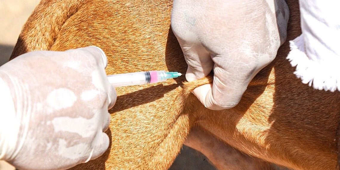 Foto: Arquivo/Prefeitura