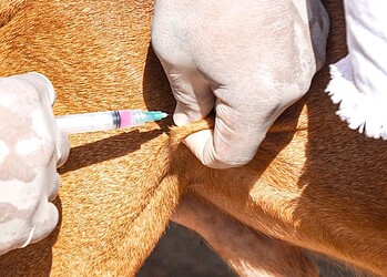 Foto: Arquivo/Prefeitura