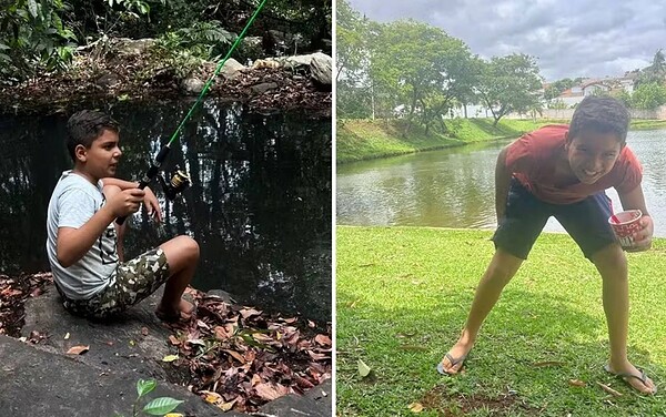 Morre menino que levou mais de 1.000 picadas de abelhas