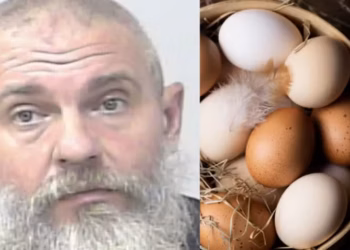 Homem tenta atirar em pessoas após discussão sobre a quantidade de ovos que as galinhas põem 1 Foto: Reprodução/St. Lucie County Sheriff/Freepik