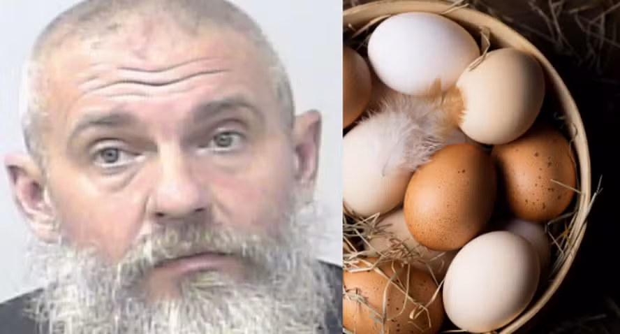 Homem tenta atirar em pessoas após discussão sobre a quantidade de ovos que as galinhas põem 1 Foto: Reprodução/St. Lucie County Sheriff/Freepik