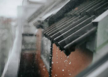 Foto: Carol Yepes/Getty Images