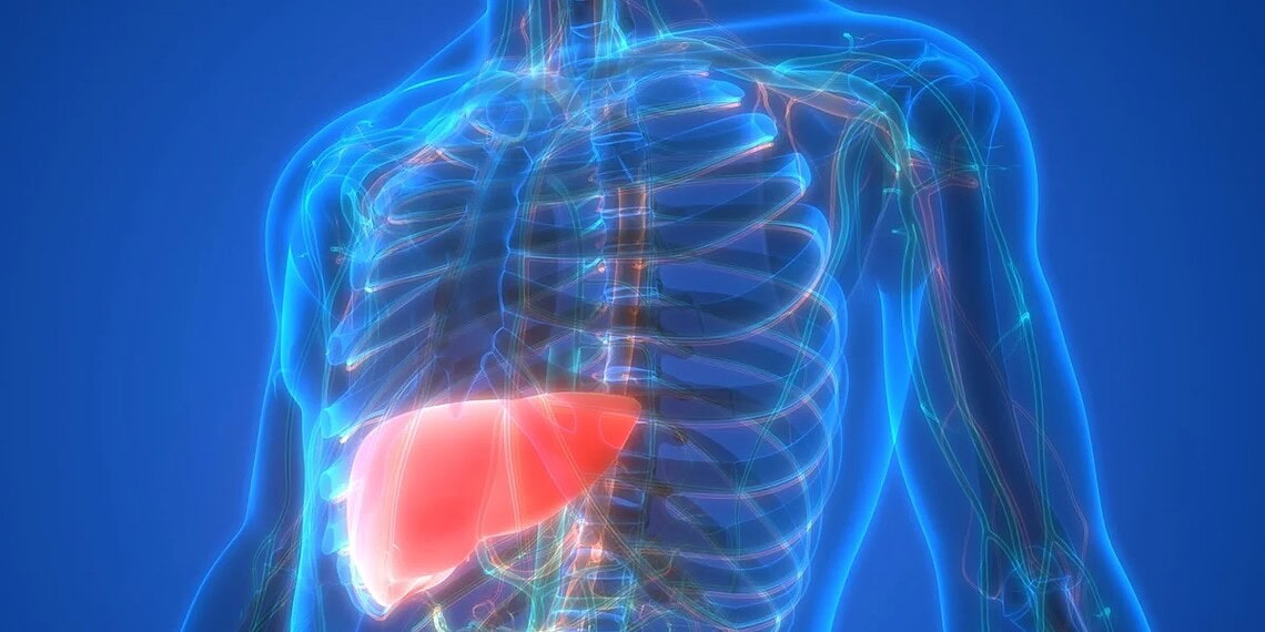 Foto: magicmine/Getty Images