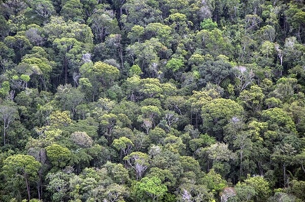 Acre é contemplado em investimento de R$ 123,6 milhões para restaurar terras indígenas na Amazônia