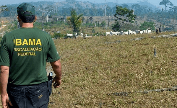 Governo autoriza nomeação de 201 aprovados em concurso para Ibama e ICMBio