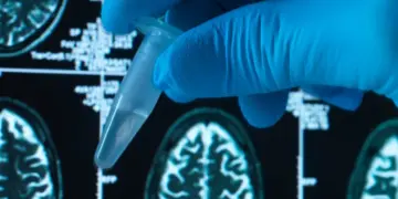 Foto: Westend61 / Getty Images