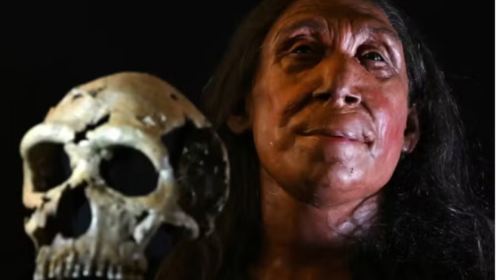 Novo estudo sugere que neandertais canibalizavam mulheres e crianças forasteiras 1 Foto: Reprodução/Youtube