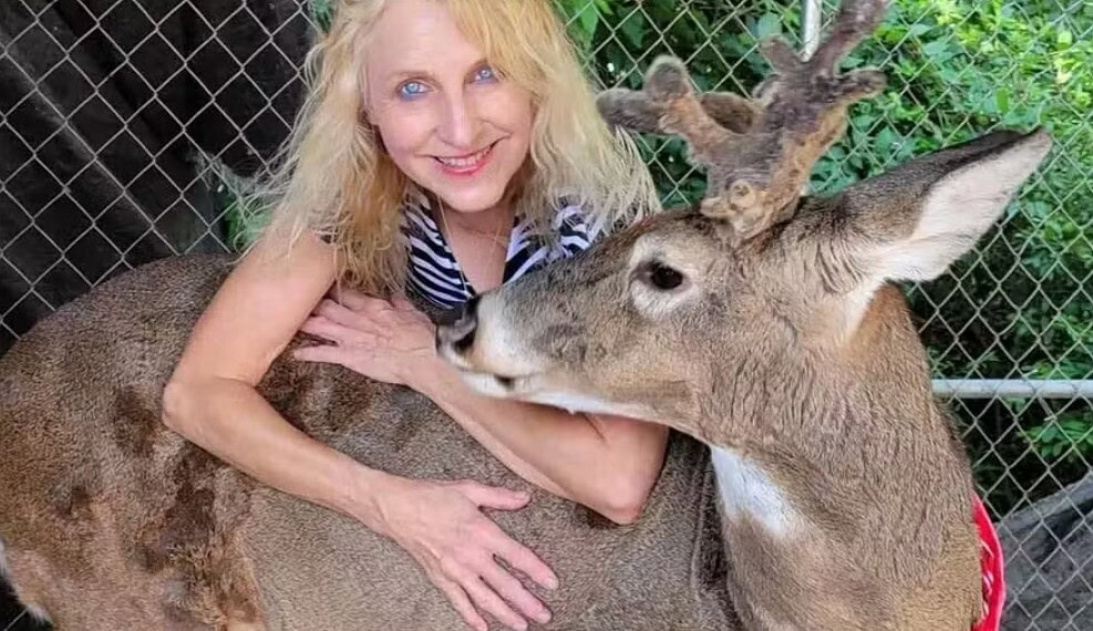 Foto: Facebook/Reprodução