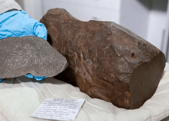 O meteorito de Maryborough em toda sua beleza — mas que não brilha como ouro — Foto: Divulgação/Museums Victoria