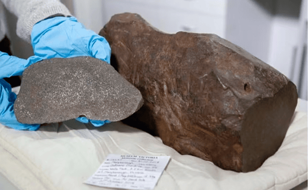 Australiano guarda rocha acreditando ter achado ouro por três anos, mas se surpreende com verdadeira origem do achado