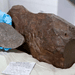 O meteorito de Maryborough em toda sua beleza — mas que não brilha como ouro — Foto: Divulgação/Museums Victoria