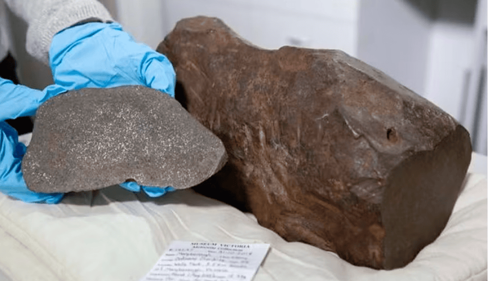 O meteorito de Maryborough em toda sua beleza — mas que não brilha como ouro — Foto: Divulgação/Museums Victoria
