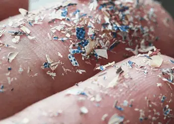 Foto: Alta exposição a microplásticos causa morte neuronal  • Glacier Fresh/Divulgação