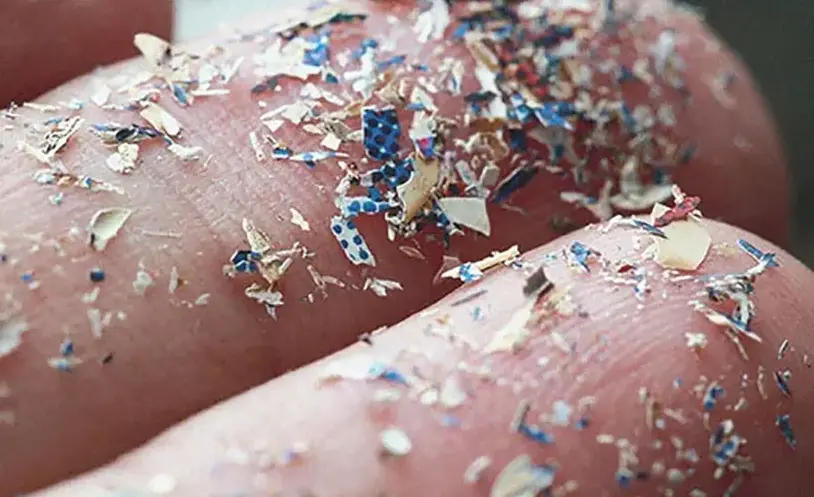 Microplásticos podem afetar a fertilidade de homens e mulheres; entenda 1 Foto: Alta exposição a microplásticos causa morte neuronal • Glacier Fresh/Divulgação