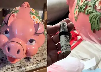 Mulher compra cofrinho em brechó e encontra R$ 10 mil guardados dentro 15 TikTok/Reprodução