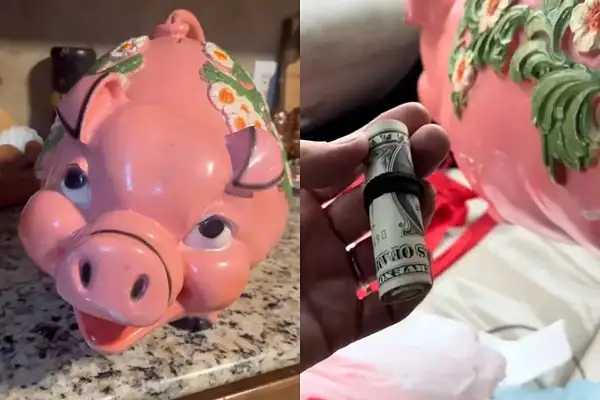 Mulher compra cofrinho em brechó e encontra R$ 10 mil guardados dentro
