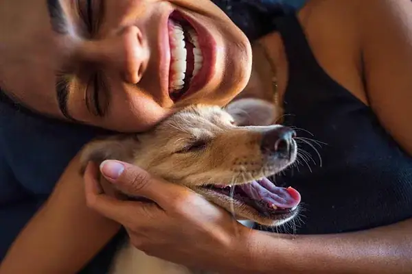 Por que amamos cachorros, segundo a ciência