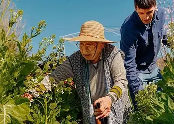 Como microssessões de exercício podem ajudar a viver mais 2 Atos simples como subir correndo um lance de escadas podem gerar benefícios significativos para a saúde - (crédito: Getty Images)